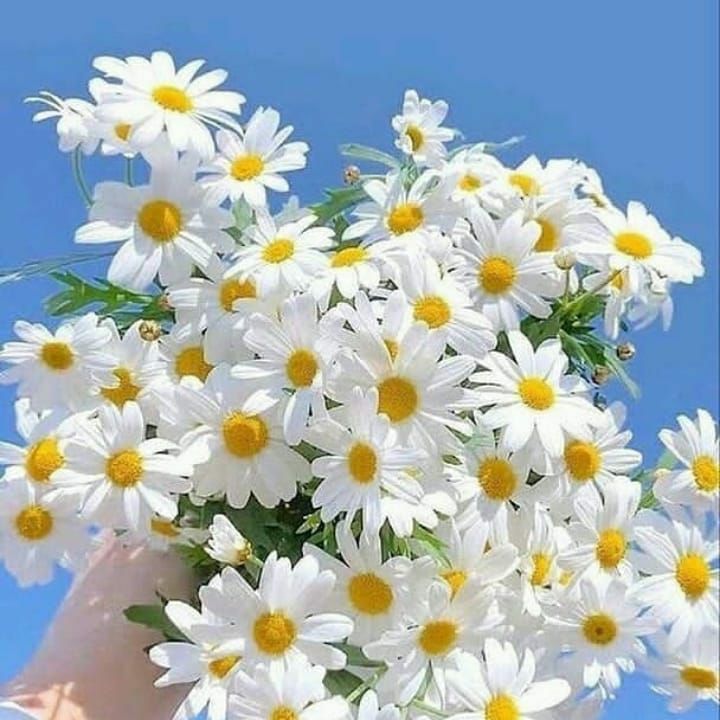 تو کجایی که ببینی چه دلایی با تو هستن